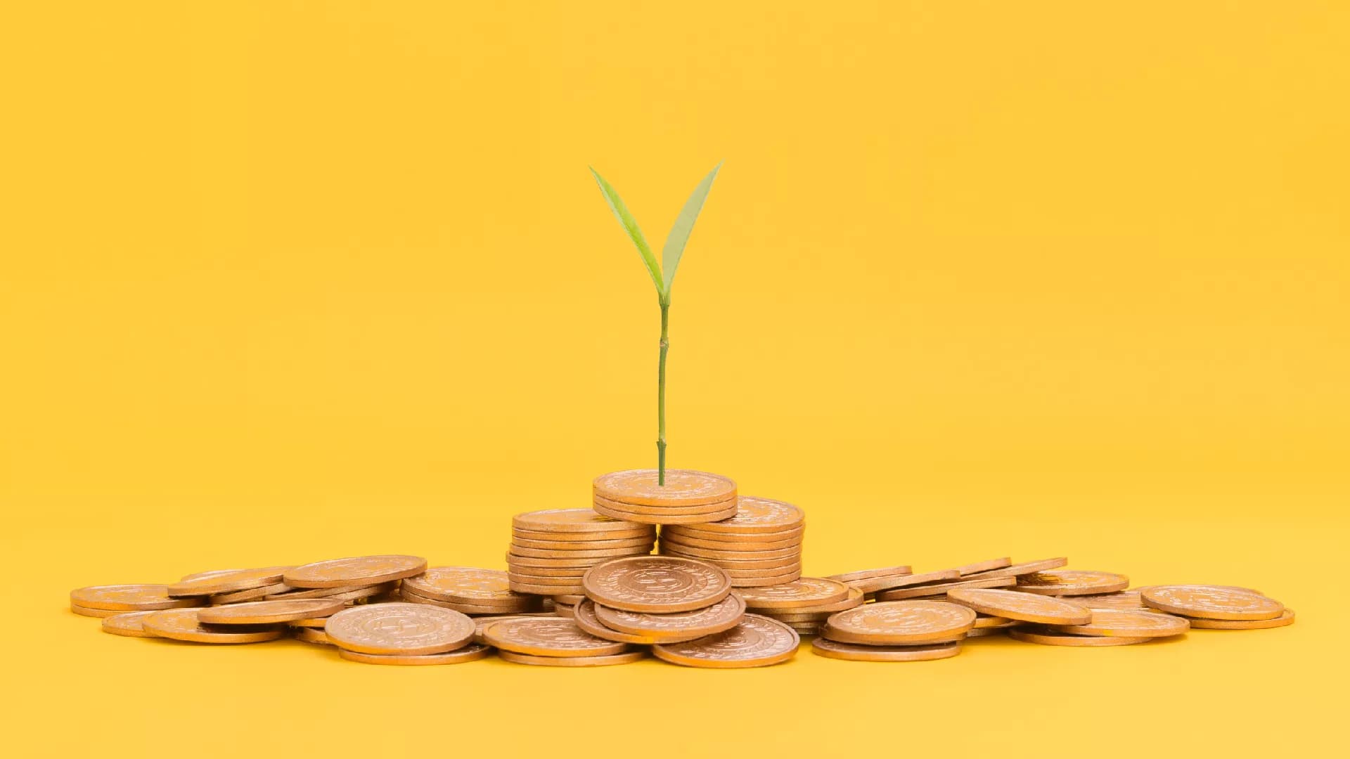 Invierte en tu futuro hoy mismo